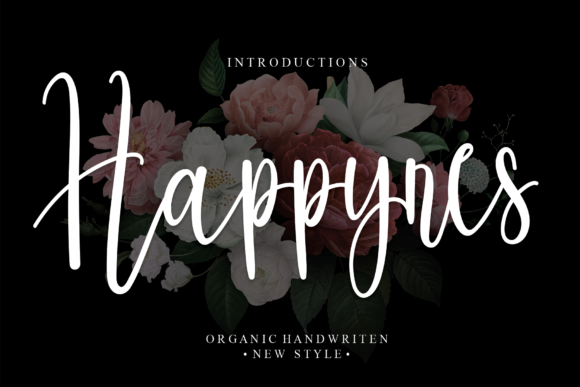 Happynes Script Font for Web Design