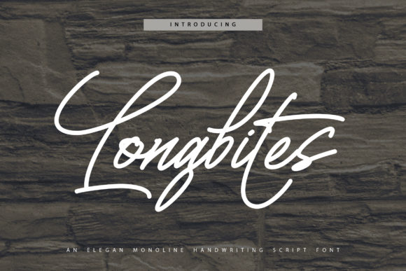 Longbites: A Vintage Handwritten Font for Crafters & Sellers