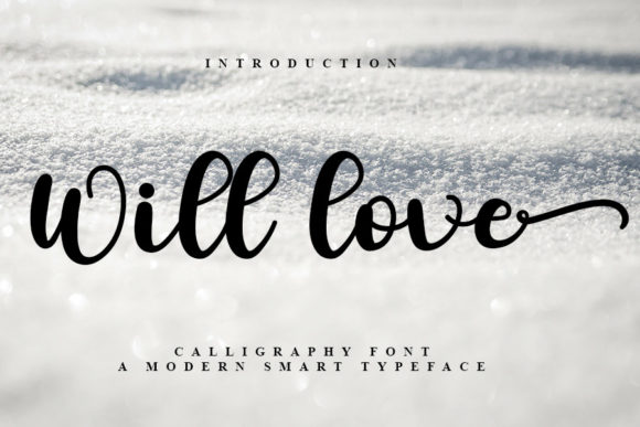 Will Love: A Designer’s Real-World Review